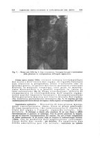 giornale/PUV0115514/1946-1947/unico/00000165