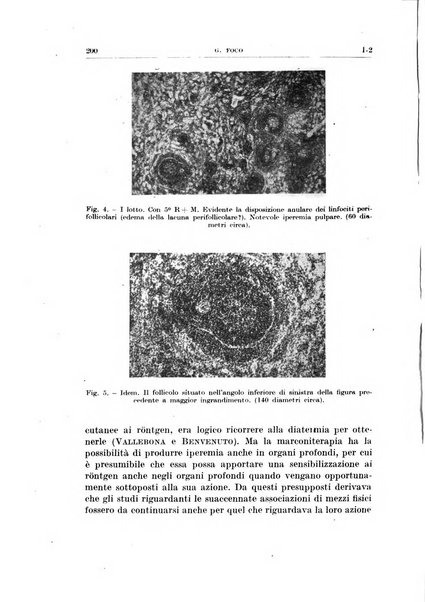 Radioterapia, radiobiologia e fisica medica