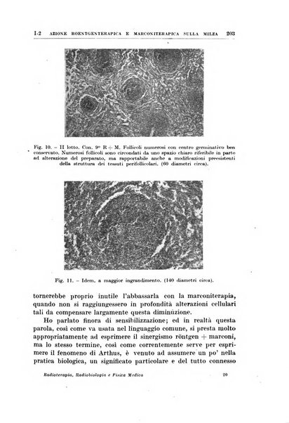 Radioterapia, radiobiologia e fisica medica