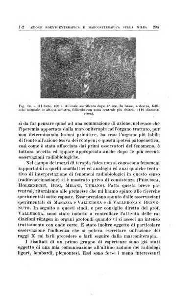 Radioterapia, radiobiologia e fisica medica