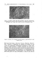 giornale/PUV0115514/1946-1947/unico/00000219