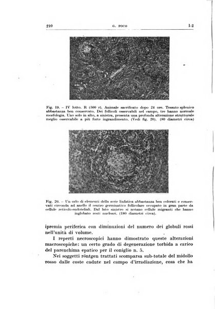 Radioterapia, radiobiologia e fisica medica