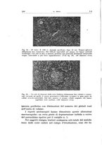 giornale/PUV0115514/1946-1947/unico/00000220