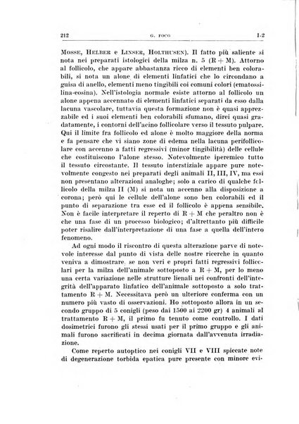 Radioterapia, radiobiologia e fisica medica