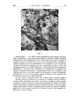 giornale/PUV0115514/1946-1947/unico/00000232