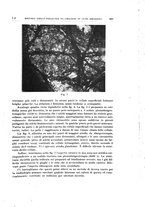 giornale/PUV0115514/1946-1947/unico/00000235