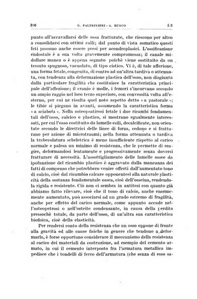 Radioterapia, radiobiologia e fisica medica