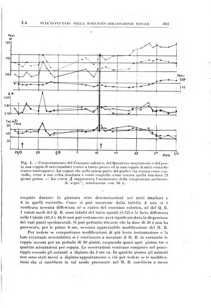 Radioterapia, radiobiologia e fisica medica