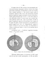 giornale/PUV0117056/1915-1917/unico/00000204