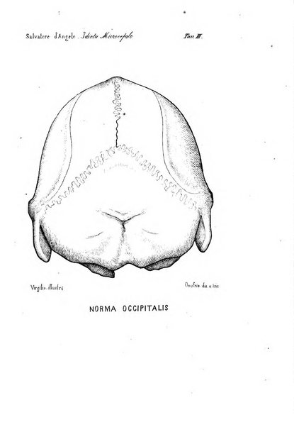 Rivista sperimentale di freniatria e di medicina legale in relazione con l'antropologia e le scienze giuridiche e sociali