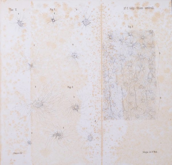 Rivista sperimentale di freniatria e di medicina legale in relazione con l'antropologia e le scienze giuridiche e sociali