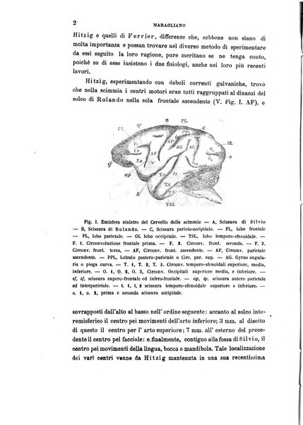 Rivista sperimentale di freniatria e di medicina legale in relazione con l'antropologia e le scienze giuridiche e sociali