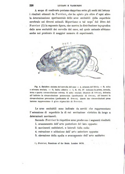 Rivista sperimentale di freniatria e di medicina legale in relazione con l'antropologia e le scienze giuridiche e sociali