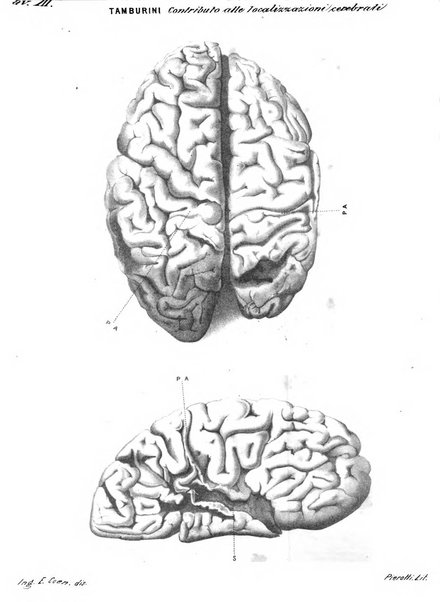 Rivista sperimentale di freniatria e di medicina legale in relazione con l'antropologia e le scienze giuridiche e sociali