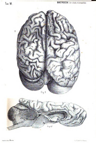 Rivista sperimentale di freniatria e di medicina legale in relazione con l'antropologia e le scienze giuridiche e sociali