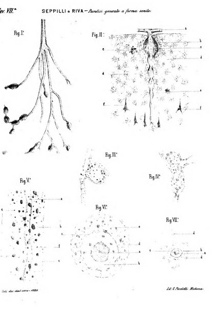 Rivista sperimentale di freniatria e di medicina legale in relazione con l'antropologia e le scienze giuridiche e sociali