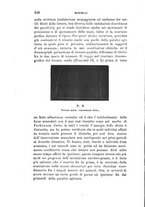 giornale/PUV0117866/1885/unico/00000260