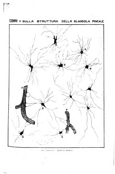 Rivista sperimentale di freniatria e di medicina legale in relazione con l'antropologia e le scienze giuridiche e sociali