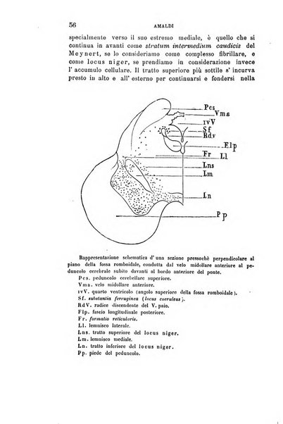 Rivista sperimentale di freniatria e di medicina legale in relazione con l'antropologia e le scienze giuridiche e sociali