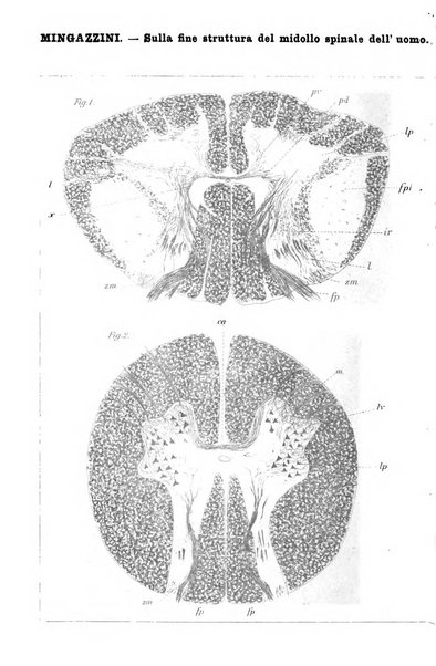 Rivista sperimentale di freniatria e di medicina legale in relazione con l'antropologia e le scienze giuridiche e sociali