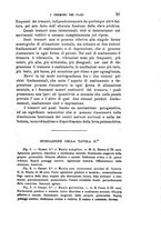 giornale/PUV0117866/1894/unico/00000031