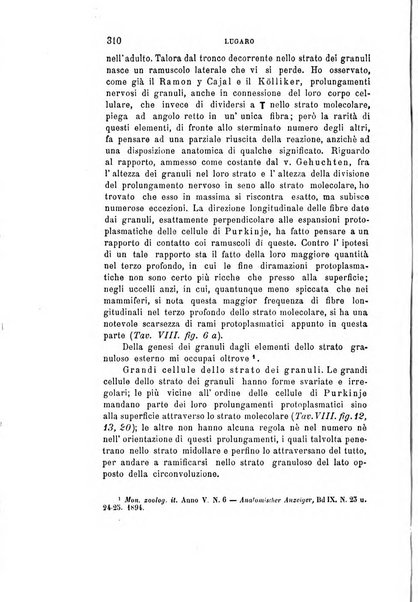 Rivista sperimentale di freniatria e di medicina legale in relazione con l'antropologia e le scienze giuridiche e sociali