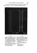 giornale/PUV0117866/1895/unico/00000559