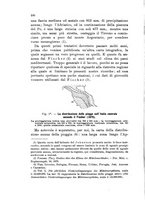 giornale/PUV0124649/1908/unico/00000264