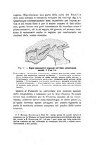 giornale/PUV0124649/1913/unico/00000015