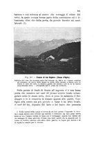 giornale/PUV0124649/1913/unico/00000367