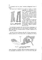 giornale/PUV0124649/1916/unico/00000044