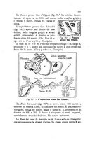 giornale/PUV0124649/1916/unico/00000121