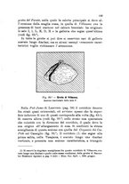 giornale/PUV0124649/1916/unico/00000133