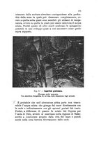 giornale/PUV0124649/1916/unico/00000327