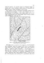 giornale/PUV0124649/1917/unico/00000229