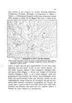 giornale/PUV0124649/1917/unico/00000239