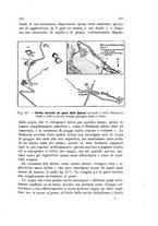 giornale/PUV0124649/1917/unico/00000309