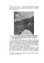 giornale/PUV0124649/1918/unico/00000062