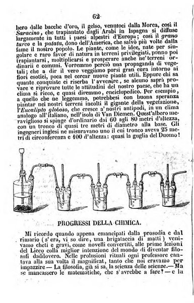 Il nipote del Vesta-verde strenna popolare per l'anno ...