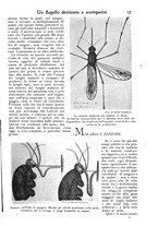 giornale/PUV0125392/1902/unico/00000023