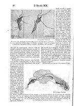 giornale/PUV0125392/1902/unico/00000024