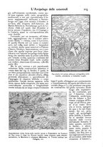 giornale/PUV0125392/1902/unico/00000257