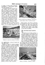 giornale/PUV0125392/1902/unico/00000483