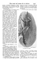 giornale/PUV0125392/1902/unico/00000541