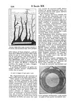 giornale/PUV0125392/1902/unico/00000638