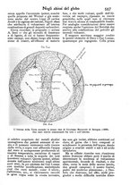 giornale/PUV0125392/1902/unico/00000641