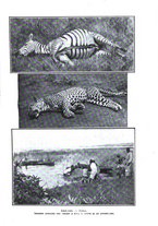 giornale/PUV0125392/1909/v.2/00000021