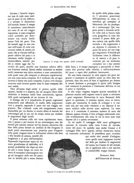 Il secolo 20. rivista popolare illustrata