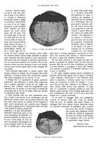 giornale/PUV0125392/1927/unico/00000567