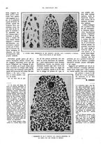giornale/PUV0125392/1928/unico/00000318